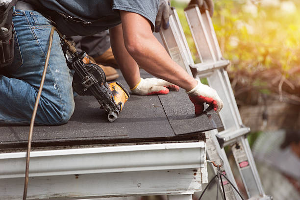 Best Roof Repair Services  in Hull, IA